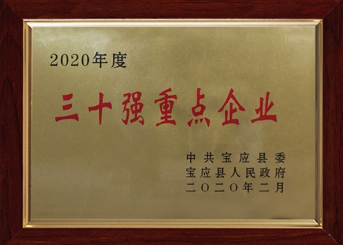 重點企業(yè)